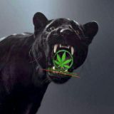 sᴜʀxᴏɴ • ғᴍ🔥