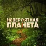 Невероятная планета