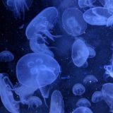 Напоминание