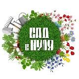 САД С НУЛЯ