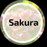 Sakura📸