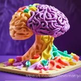 Фокус внимания