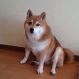 блядские демотиваторы (переход)