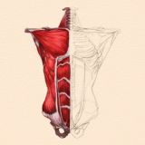 𝐏𝐚𝐬𝐬𝐢𝐨𝐧𝐞 𝐃𝐢𝐬𝐞𝐠𝐧𝐨✏️