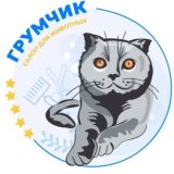 Красивая стрижка собак и кошек. Лицензированная школа Груминга. Ростов-на-Дону. ГрумЧик🥇