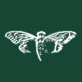 CICADA MUSIC
