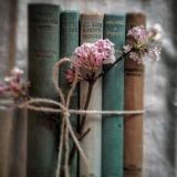 Заказ книг 🕊🕊