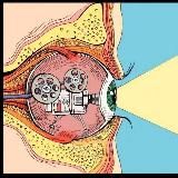 Криптоволны