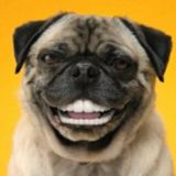 Crypto Investing (ITA)