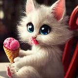 😹Funny 😻 Cute 😻 Kitties😹