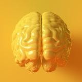 Yellow Brain