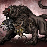 CERBER SHOP ОТЗЫВ