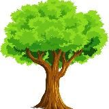 🌳Семейный путеводитель