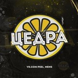 Цедра