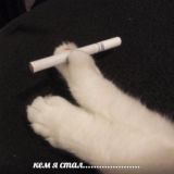 что я говорю психиатру