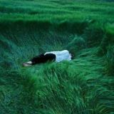 Чатик для общения