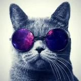 стобалльник^в^кед@х~