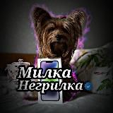 𝙒𝙊𝙍𝙆𝙄𝙉𝙂 𝘿𝙊𝙂𝙎