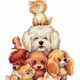 ДОМАШНИЕ ЖИВОТНЫЕ | ПИТОМЦЫ🐾