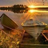 Bedava Reklam & Free Ad🎃