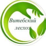 Витебский лесхоз🌲