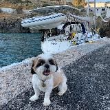 Яхтенные будни