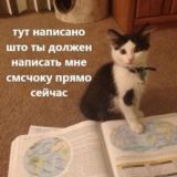 мемчики для отношений