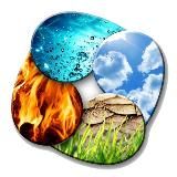 Амурский минлес