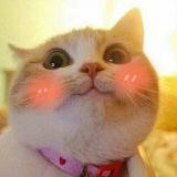 Оля б. нервно шутит