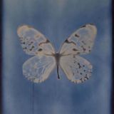 TRASH TOK❤️‍🔥