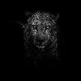 ☞ʳᵉ’ⁿᵉᵐᵘ☜