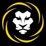 EXPÉRIENCE PRO 🥇