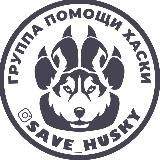 SAVE_HUSKY
