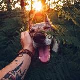 Таня и шпиц Никка 🤍