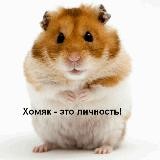 Волшебный Ⓜ️inter'янин