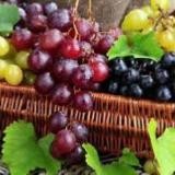 🍇Сладкие🥑