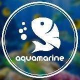 PetZoo.uz (aquamarine)
