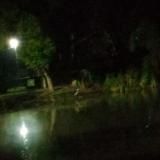 Бесплатный WB и Ozon😍😍😍