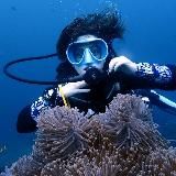 🌿Vasya_Granat🌿