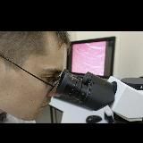 Сотниченко подкаст. Патанатомия