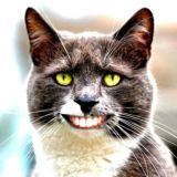 Юмор на день😂