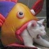 черная магия и наркотики