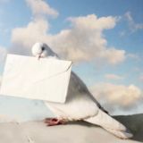 Даниловские Vесточки