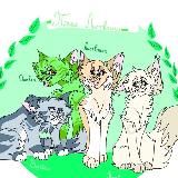 ᛝ Ⲡⲗⲉⲙя Ⲗυⲥⲧⲃяⲏⲕυ. ⁺₊ кв