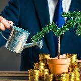 Чуйка ин💸естора🚀🚀🚀