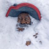 «Лесной» Chat