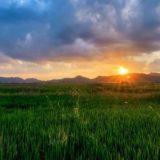 Восстановите чат ЦУР!