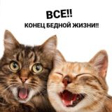 элементы без фона