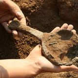 Услуга на "миллион" - Археология для частников.