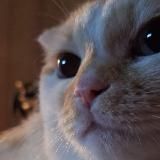 🌌β ӄσϲϻσϲε🌌